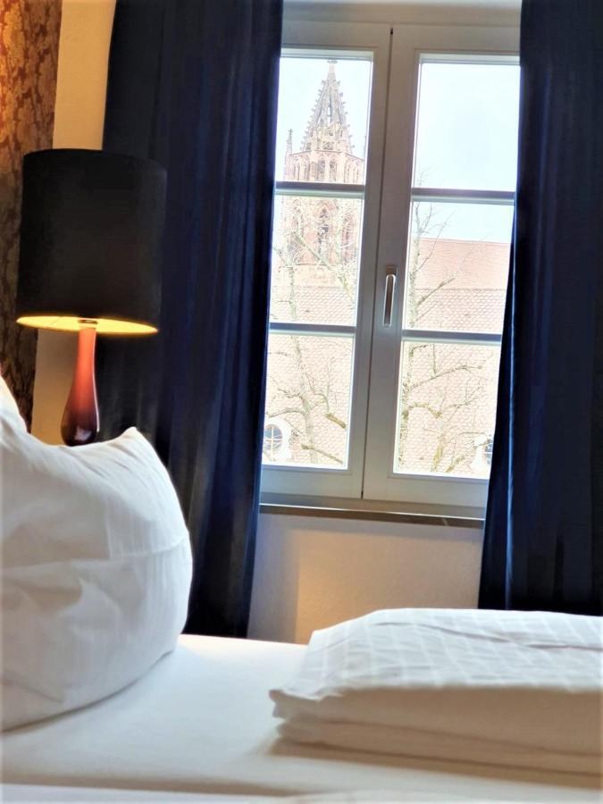 Luxus Apartment Ludwigxv Freiburg im Breisgau Eksteriør billede