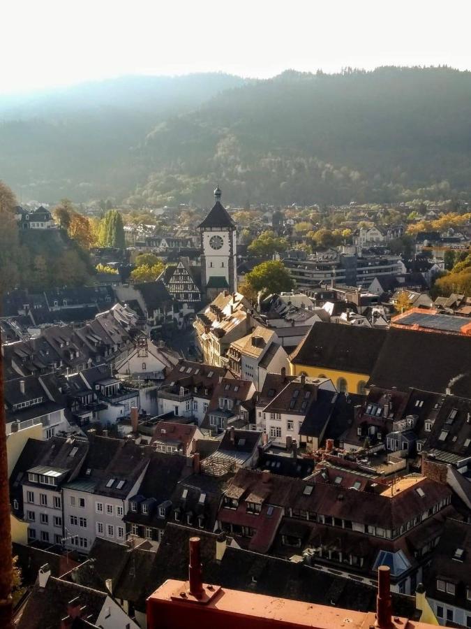 Luxus Apartment Ludwigxv Freiburg im Breisgau Eksteriør billede